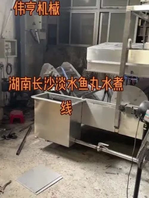 伟亨食品机械 专业丸类设备制造商 食品机械设备 各种肉类加工设备齐全 肉类加工设备