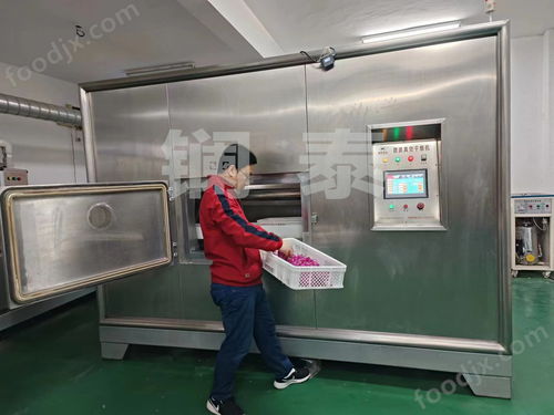 墨红玫瑰花花茶干燥机与制冷设备 食品加工与家电销售的重要支柱