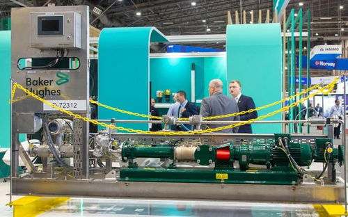 国际观察丨美国海上风电开发困局折射能源转型逆风